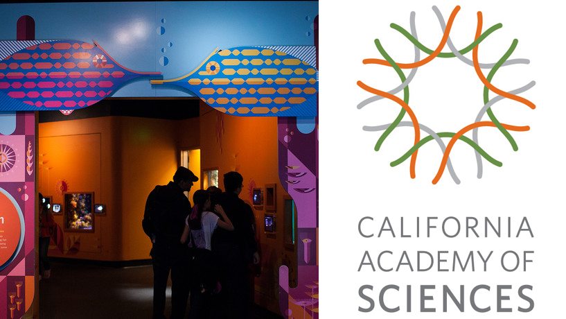 Win Tickets To California Academy Of Sciences’ Animal Attraction Exhibit!