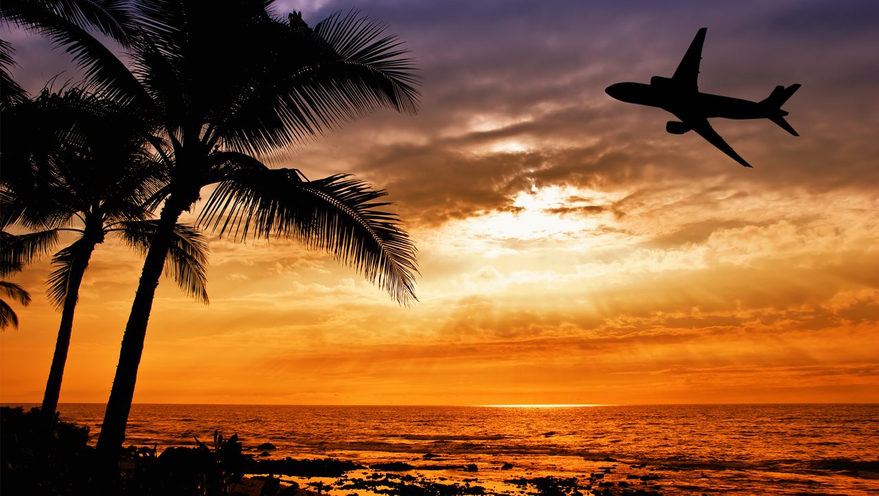 Sunset with palm tree and airplane silhouettes