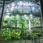 Win a Family Four-Pack of Tickets To California Academy Of Sciences' Rainforest Exhibit, From 99.7 NOW!